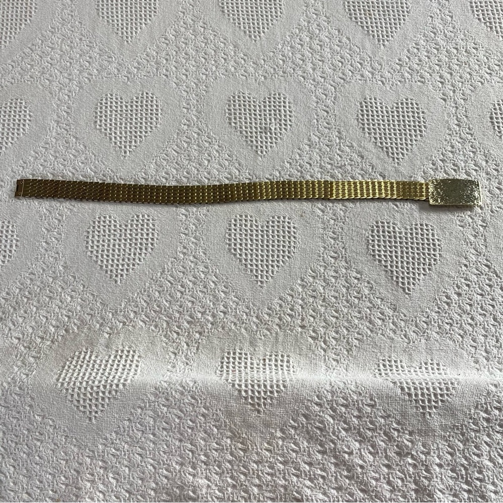 Vintage Scaley Belt